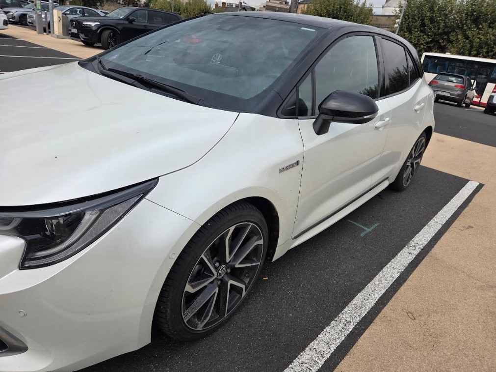 Toyota Corolla Collection